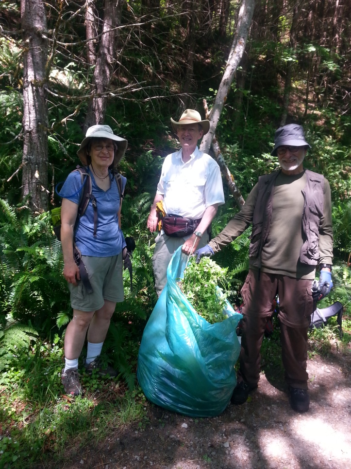 Volunteers-with-herb-robert-bagged-IraSpringTrail-2013-SShaw