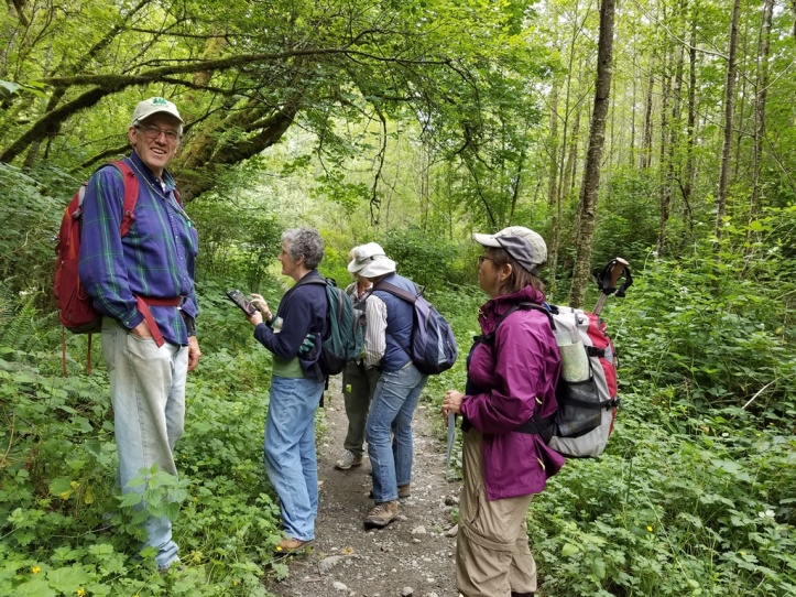 Volunteers on the hunt for invasive plants on Tiger Mountain. Photo by Sasha Shaw.