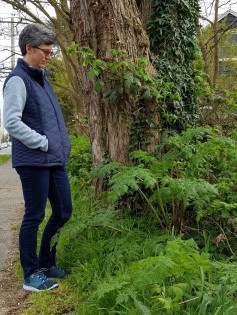 poison-hemlock plant by a tree and a person
