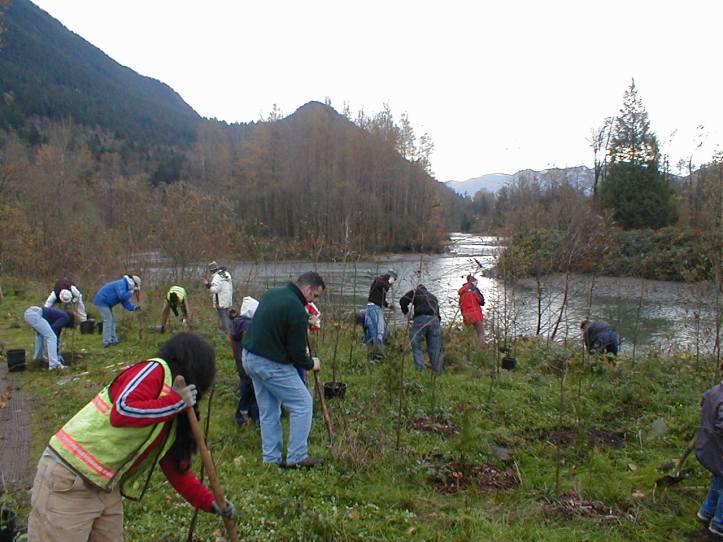 volunteers planting on a river
