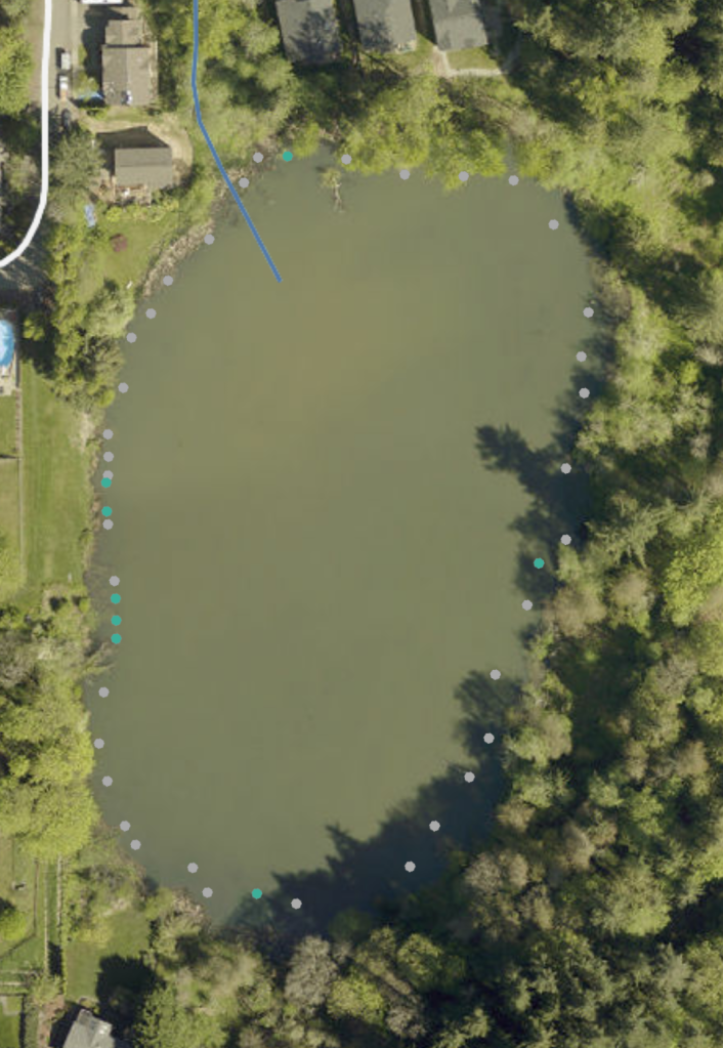 aerial photo of Lake Rasmussen with dots showing weed locations